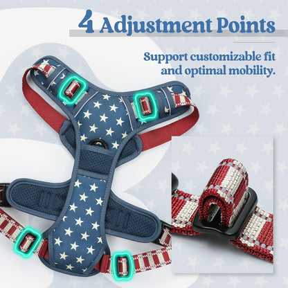 rabbitgoo Dog Harness No Pull with 2 Leash Clips, Adjustable Soft Padded, Reflective Oxford No