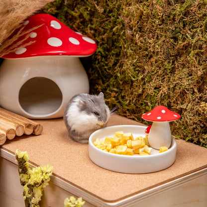 Niteangel Hamster Snack & Treats Toy - Small Animal Natural Treat for Dwarf Syrian Robo Hamsters