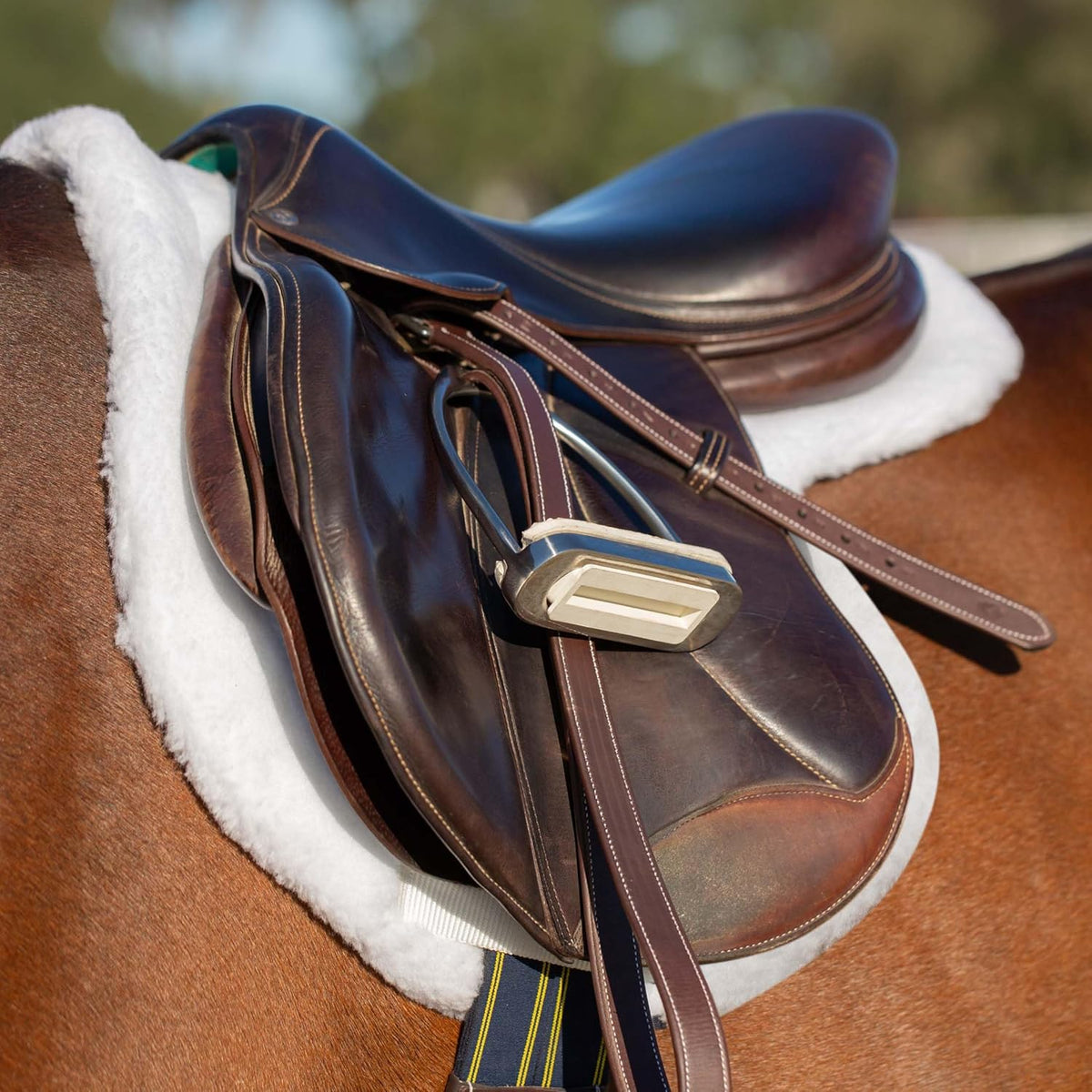 Equinavia Eidsvoll Close Contact English Saddle Pad | Horse Saddle Pad with Shock Absorbing Fleece