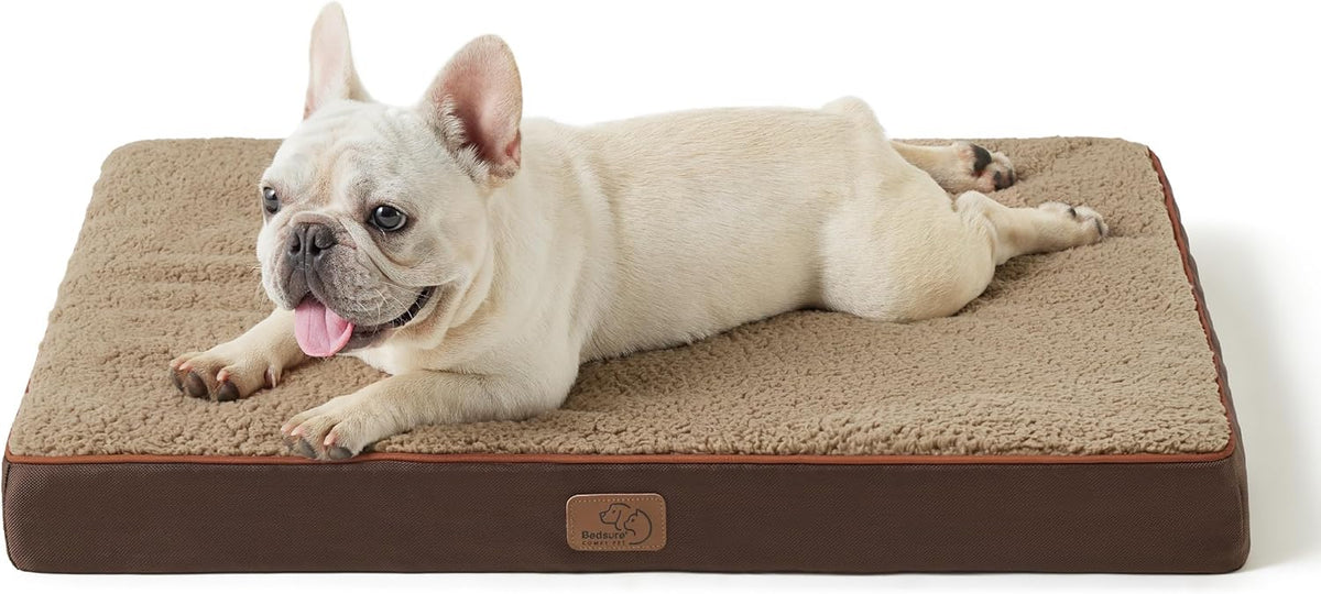 Bedsure Dog Bed Medium Size Dog - Orthopedic Flat Puppy Beds with Removable Washable Cover, Egg