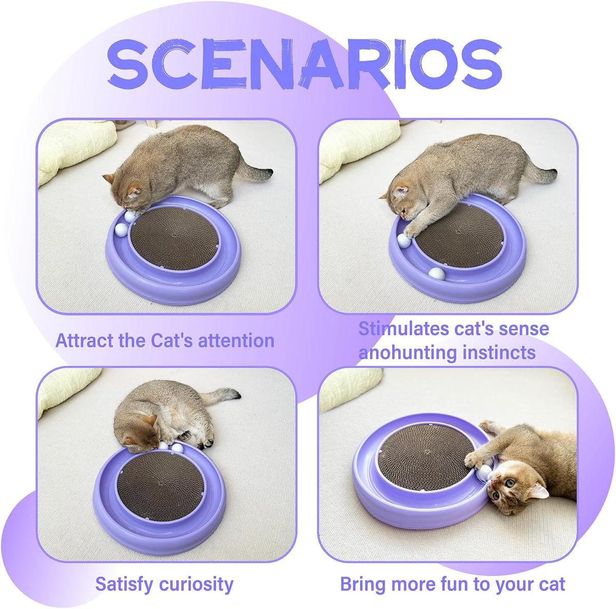 Interactive Cat Ball Track Toy for Indoor Cats, Cat Scratching Board & Exercise Set for Bored