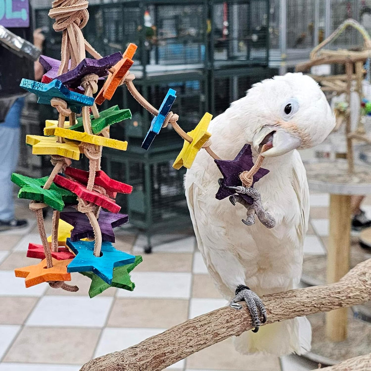 Birds LOVE Wood Stars & Leather Toy for Bird Cage Stand or Playgym, Bird Toys for Small to Medium