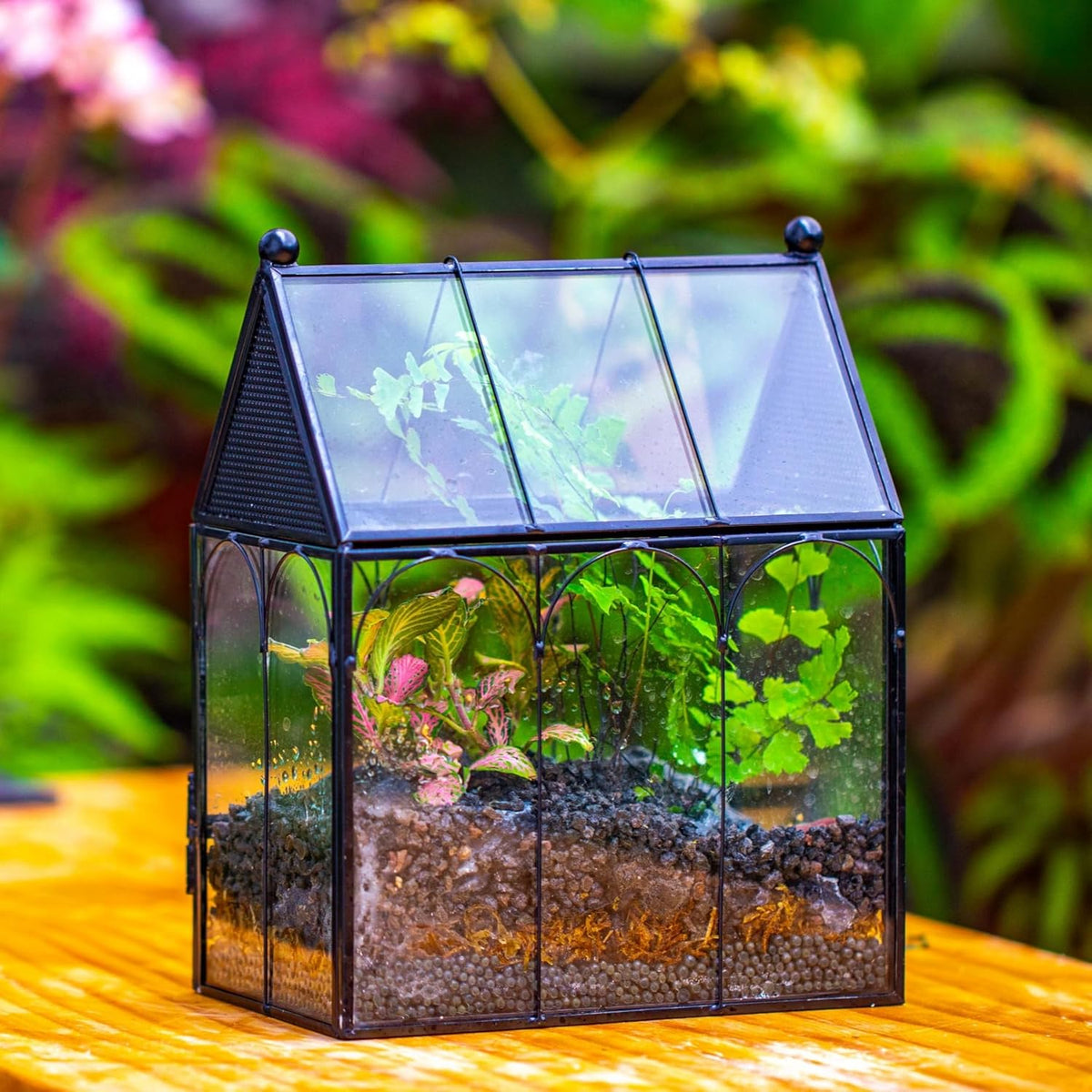 NCYP Small Glass Spider Enclosure with Mesh for Jumping Spiders, Snails, Micro House Shaped Front