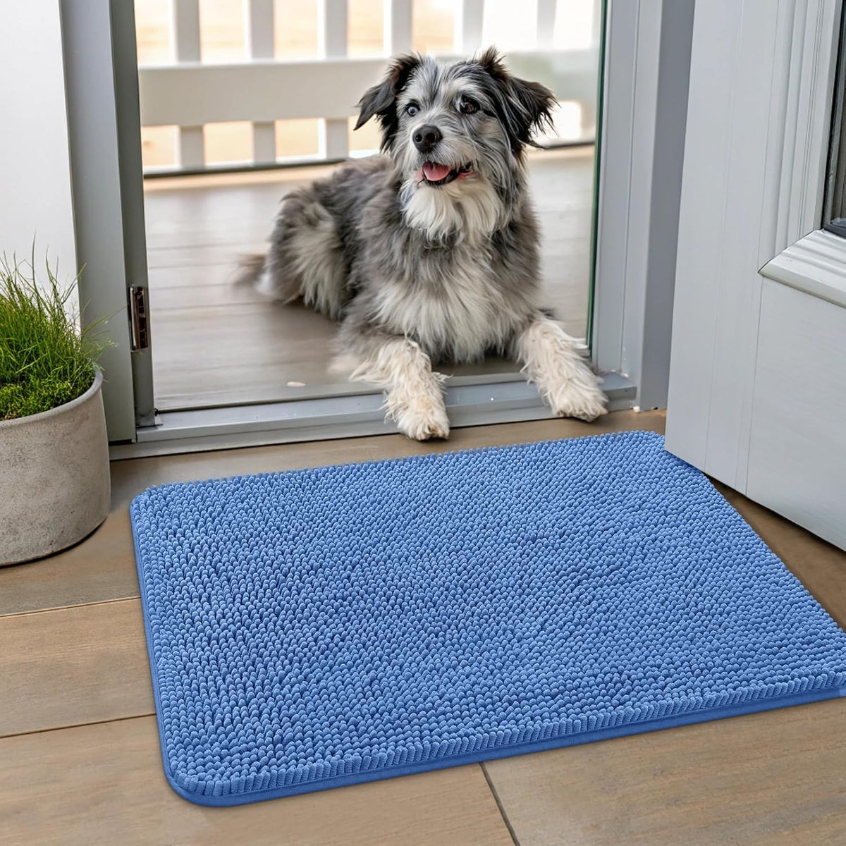 Smiry Dog Door Mat for Muddy Paws 24x16, Absorbs Moisture and Dirt Doormat, Non-Slip Washable Quick