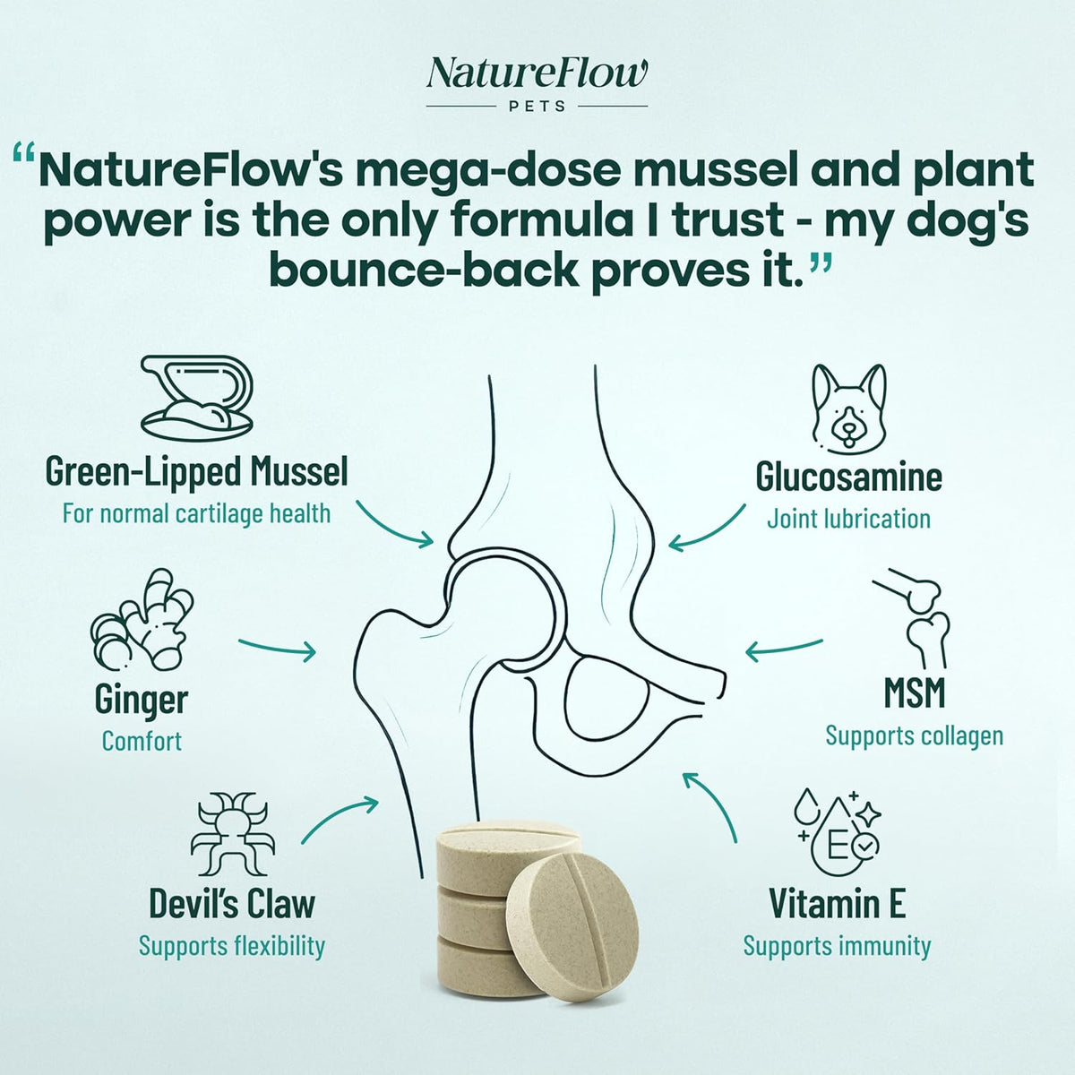 Joint Supplement for Dogs, Power of Nature Made in USA, Unique Formula: Green-Lipped Mussel