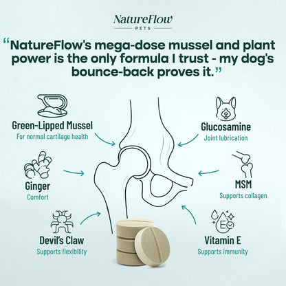 Joint Supplement for Dogs, Power of Nature Made in USA, Unique Formula: Green-Lipped Mussel