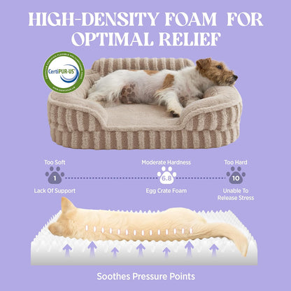 LE SURE Cute Dog Bed for Small Dogs, Orthopedic Waterproof Small Pet Beds with Sides, Non-Slip