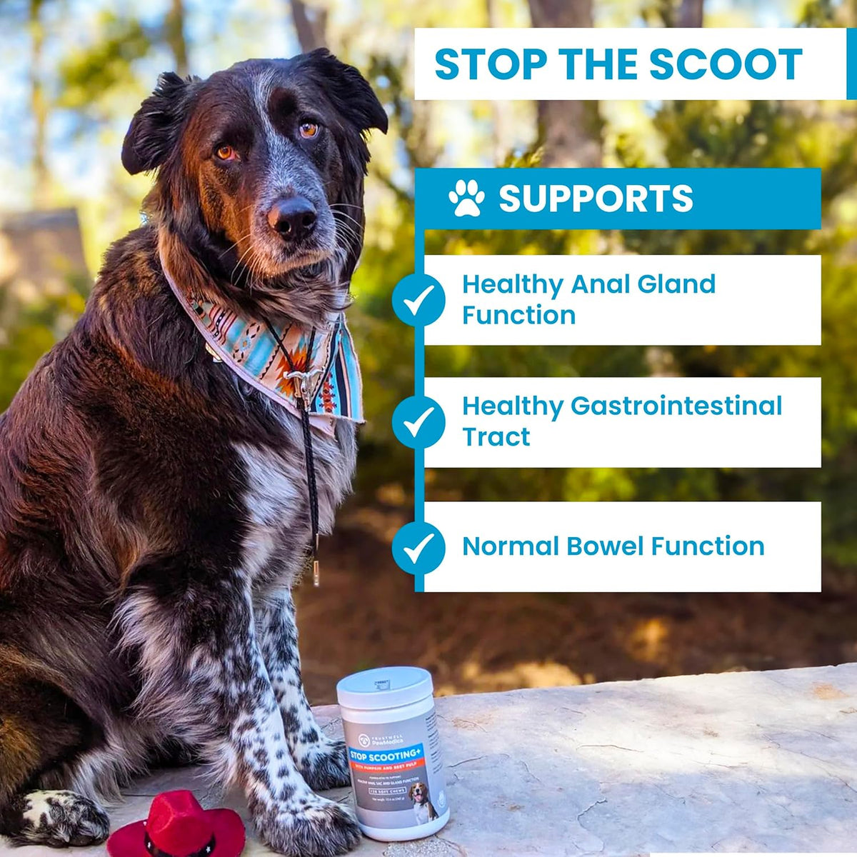 PawMedica Dog Anal Gland Chews to Stop Scoot for Dogs - Anal Gland Dog Constipation Relief