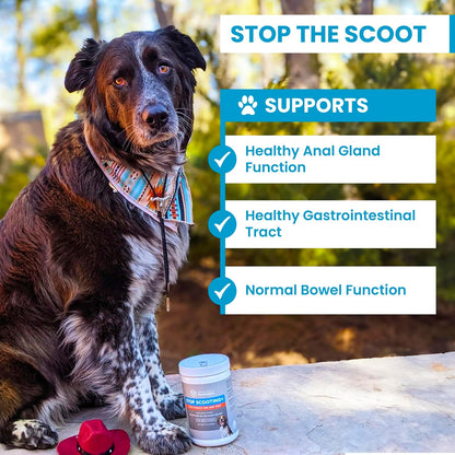 PawMedica Dog Anal Gland Chews to Stop Scoot for Dogs - Anal Gland Dog Constipation Relief