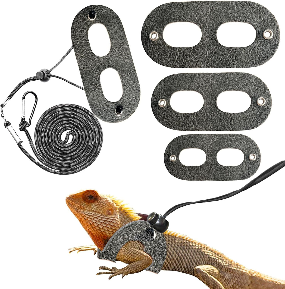 Bearded Dragon Travel Backpack with Harness and Leash Set,Lizard Backpack Travel Carrier,Space