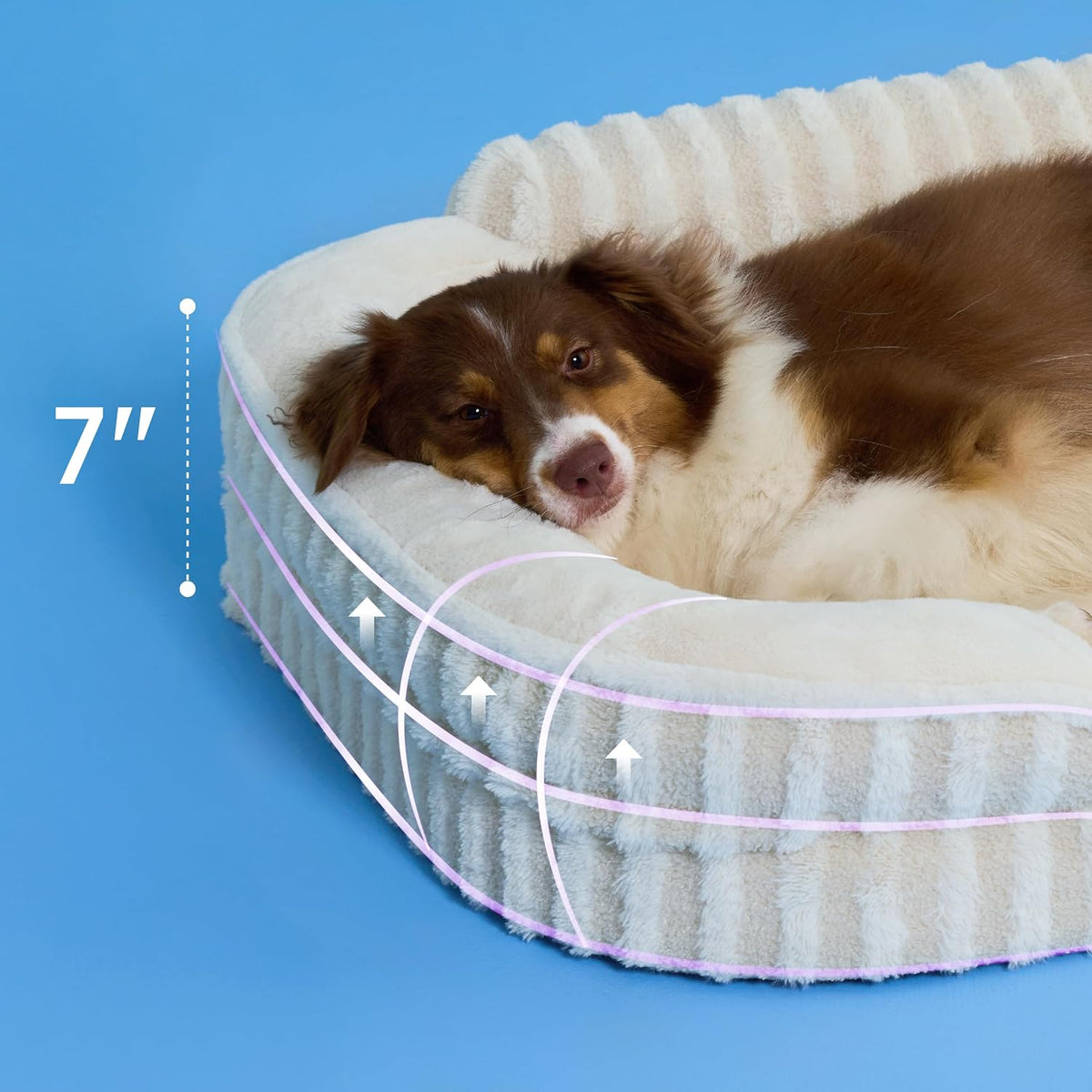 LE SURE Cute Dog Beds Large Sized Dog, Orthopedic Waterproof Large Pet Bed with Sides, Non-Slip