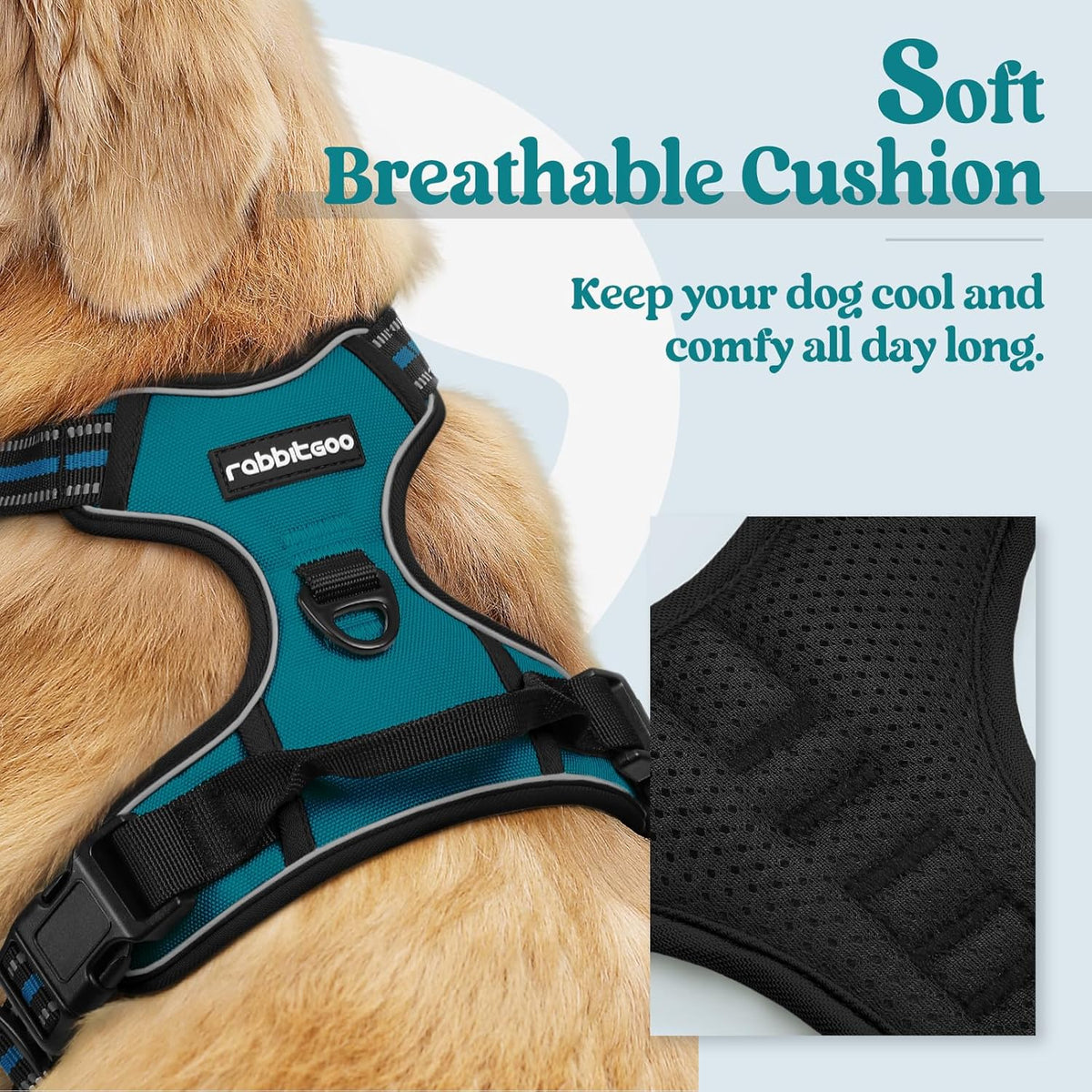 rabbitgoo Dog Harness No Pull with 2 Leash Clips, Adjustable Soft Padded, Reflective Oxford No