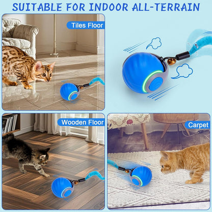 Interactive Cat Toy Ball - Motion-Activated, USB Rechargeable Cat Toys for Indoor Cats with