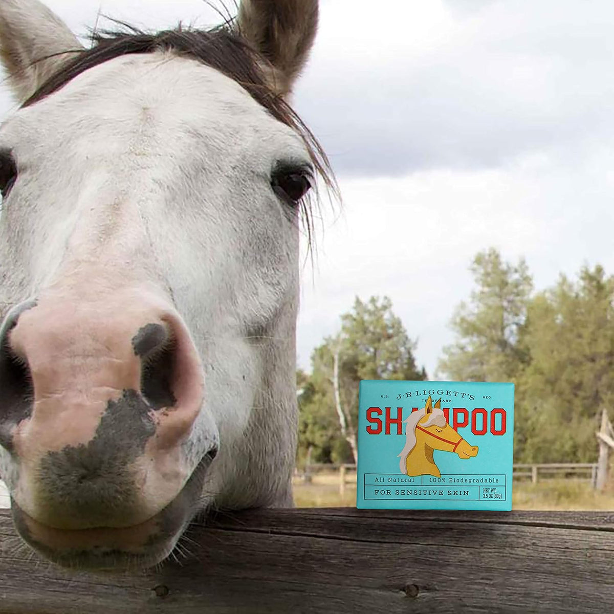 JR Liggett’s Natural Horse Shampoo Bar - Non-GMO, 100% Detergent-Free Formula Gently Deep Cleans
