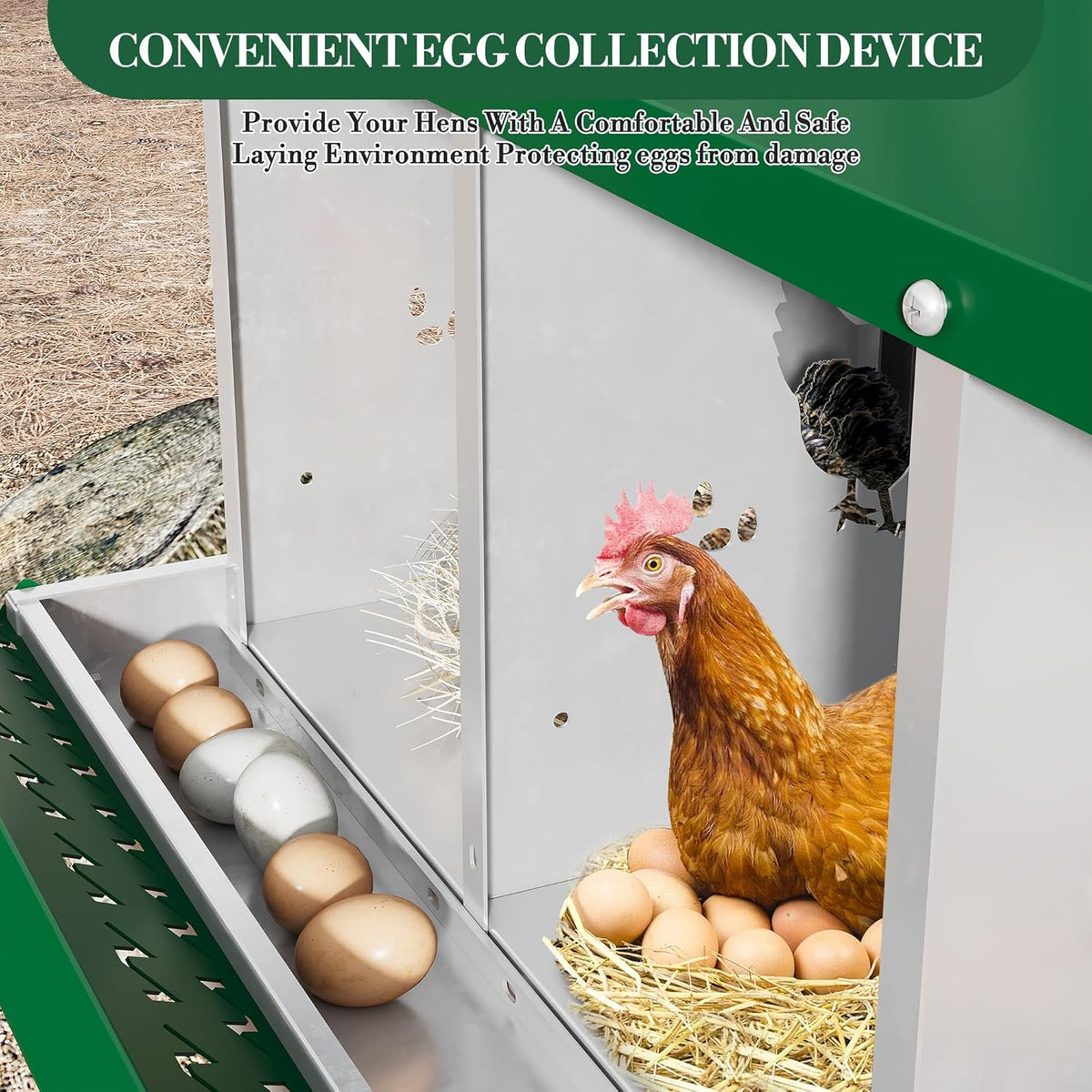 6 Hole Chicken Nesting Box with Roll Out Egg Tray, Rustproof & Ventilated Chicken Laying Boxes for