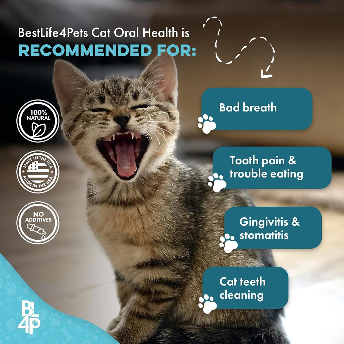 Cat Dental Supplement for Bad Breath, Tartar & Gum Support – Natural Oral Tablets for Fresh Breath
