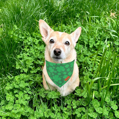 PTDECOR St. Patrick's Day Dog Bandana, Reversible Dog Scarf, Multi Size Offered, Green Shamrock Pet