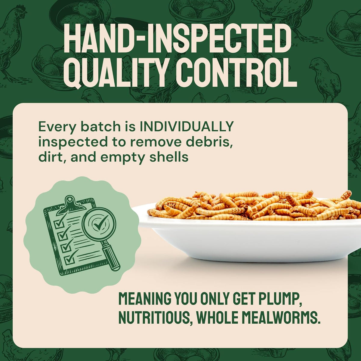 Chicken Feed Dried Mealworms - 5 Lb, Non-GMO & Organic - High-Protein Mealworms for Wild Birds &