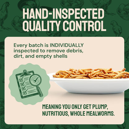 Bulk Dried Mealworms - 10 Lb Bag - Non-GMO Dried Mealworms for Chickens, Ducks & Wild Birds