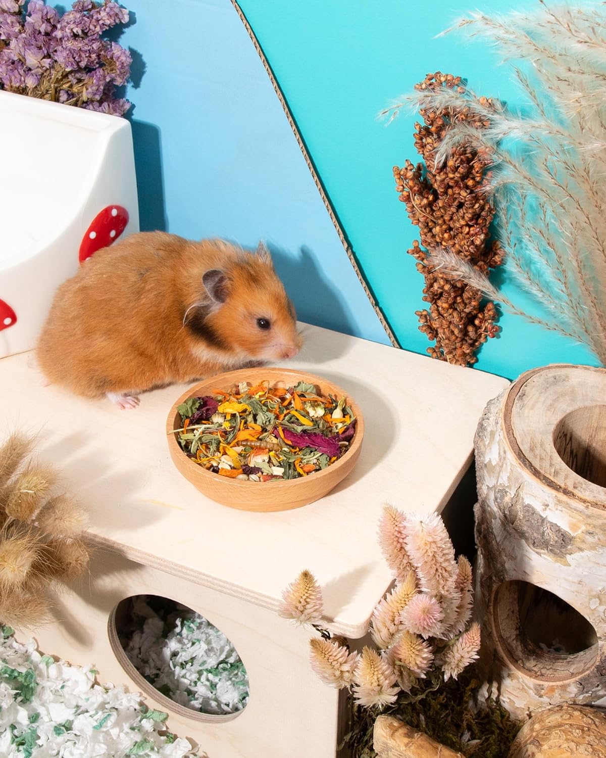 Niteangel Hamster Food & Treats Toy - Small Animal Natural Food for Syrian Golden Hamsters or Other