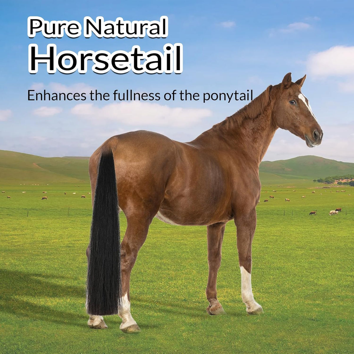 Horse Tail Extension with Braided Horsehair Loop, Blunt Cut Bottom, 3/8 lb, 28-30 inches (Natural