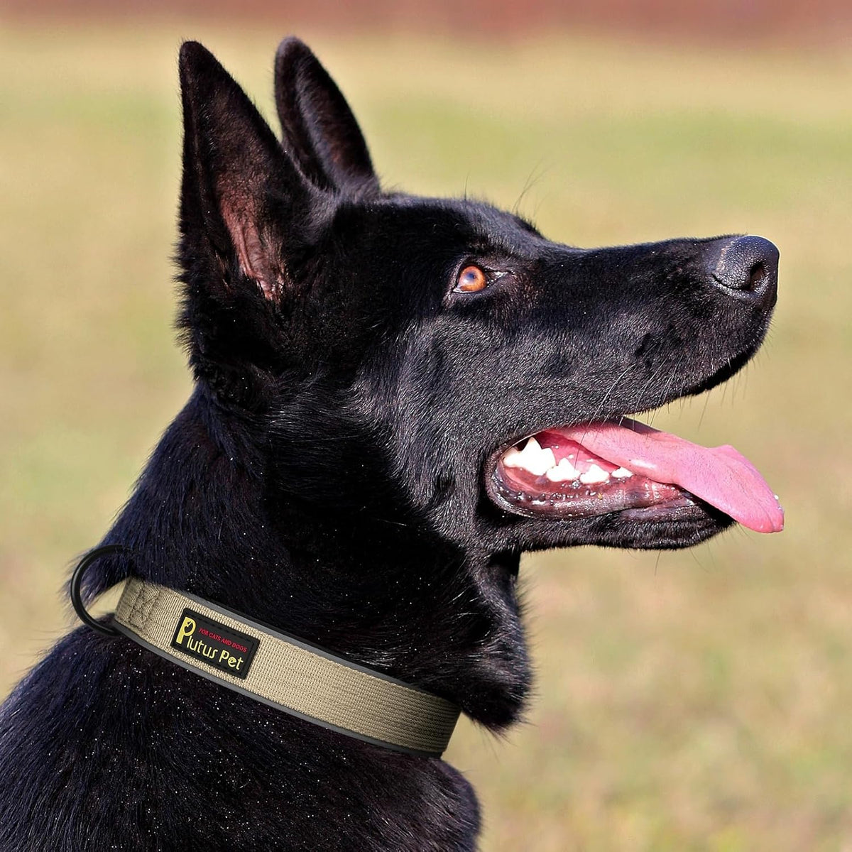 Plutus Pet Tactical Dog Collar, Reflective, Adjustable Heavy Duty Dog Collar, Soft Padded and