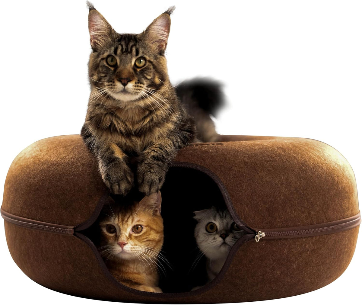 Cattasaurus Peekaboo Cat Cave for Multiple & Large Cats Up to 30-45 Lbs, Scratch Detachable &