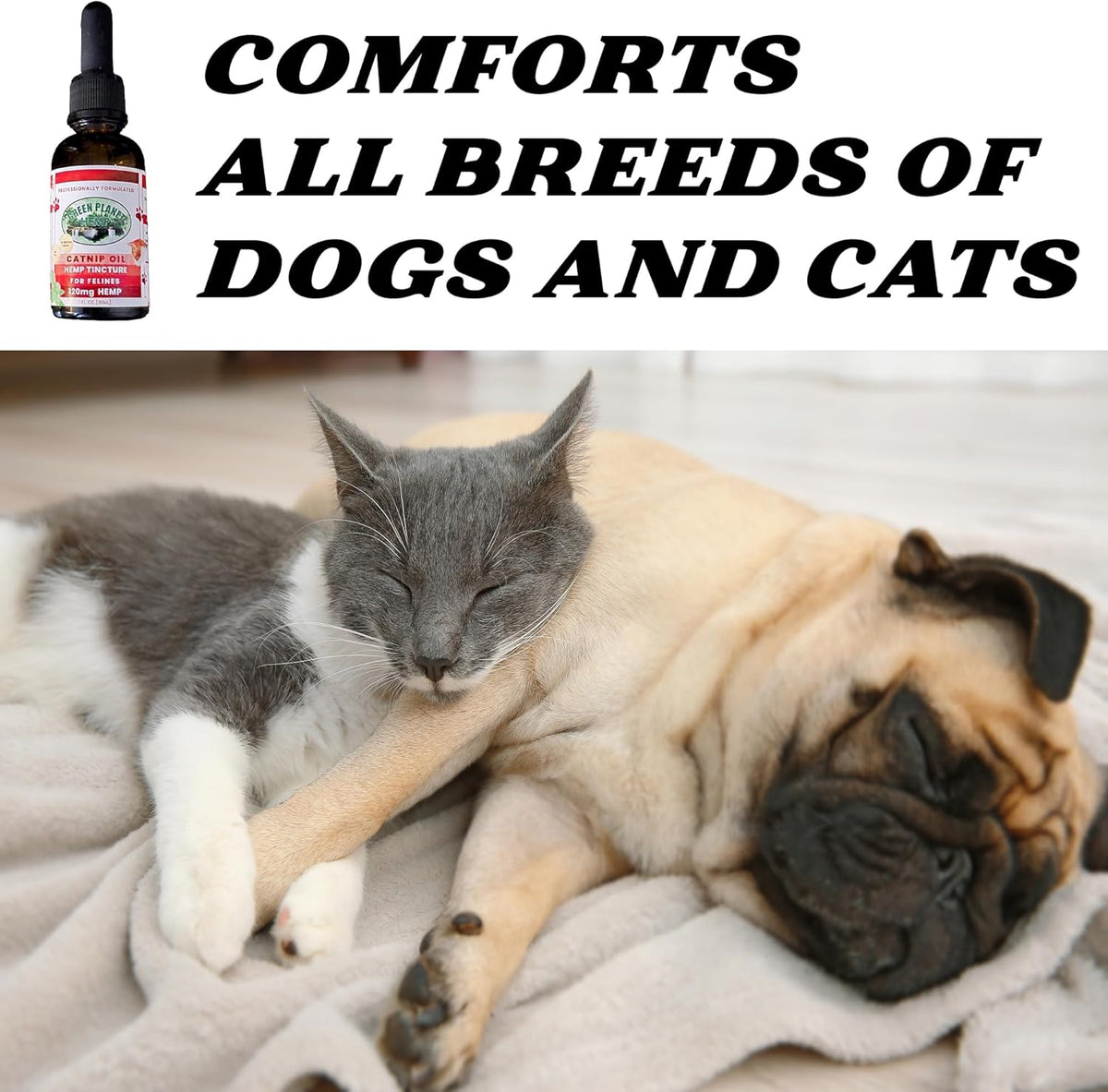 Pet Hemp Oil | Dogs and Cats | Catnip Oil | Green Planet Hemp | 120MG Organic Tincture | 100%