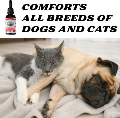 Pet Hemp Oil | Dogs and Cats | Catnip Oil | Green Planet Hemp | 120MG Organic Tincture | 100%