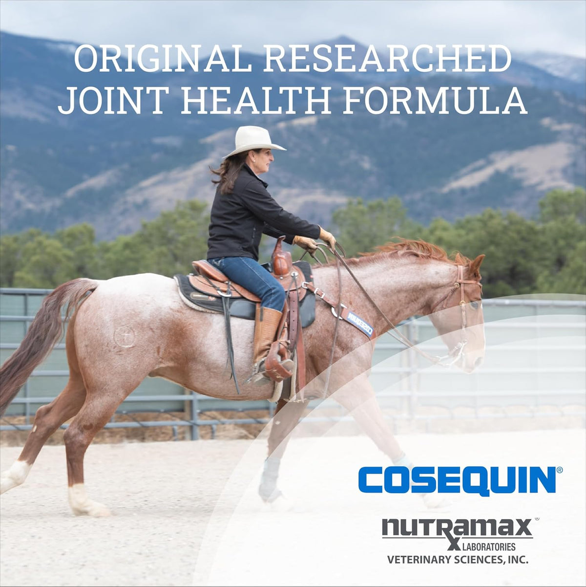 Nutramax Cosequin Original Pellets Joint Health Supplement for Horses - with Glucosamine and