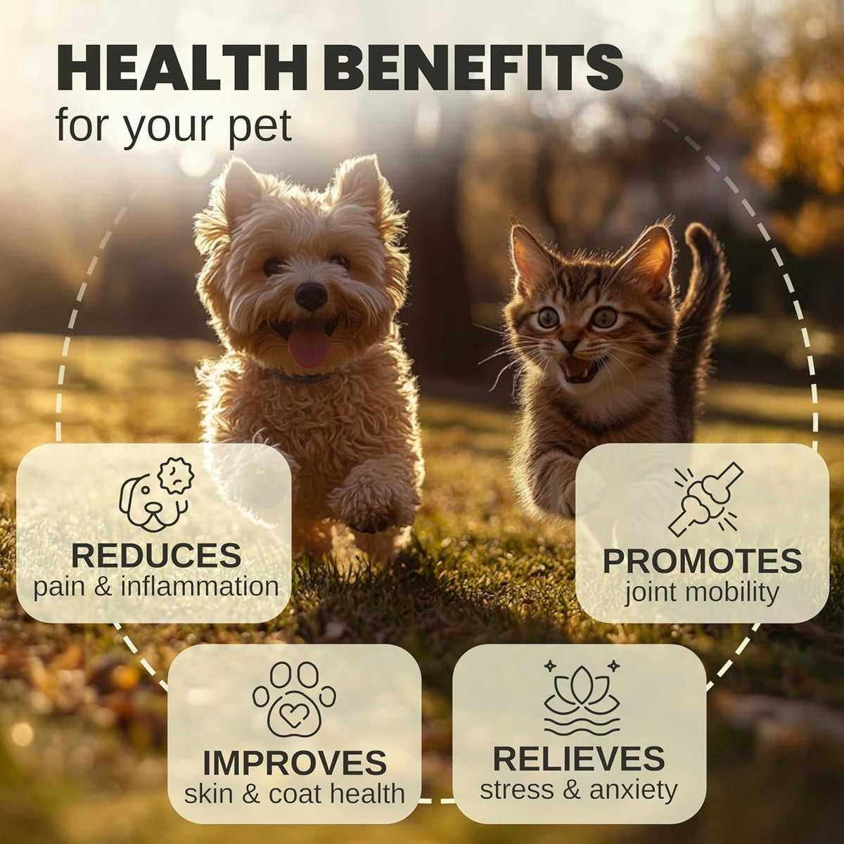Billion Pets - Hemp Oil for Dogs and Cats - Helps with Anxiety, Pain, Stress, Sleep, Arthritis