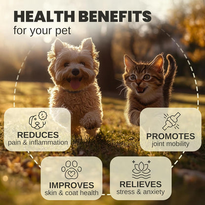 Billion Pets - Hemp Oil for Dogs and Cats - Helps with Anxiety, Pain, Stress, Sleep, Arthritis