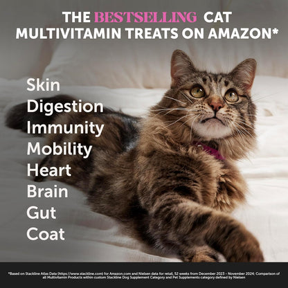 Cat Multivitamin Crunchy & Creamy Chews - Cat Treats for Health + Immune, Joint Support, Skin &