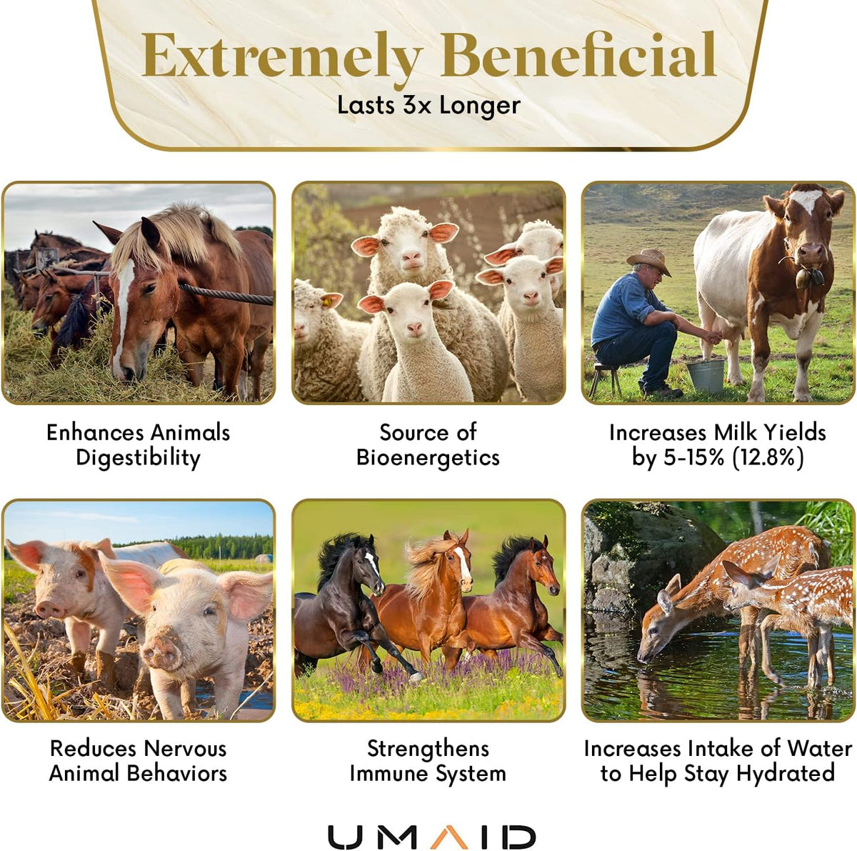 UMAID Himalayan Salt Lick 6 lbs. on Rope for Horses, Deer, Goats, Cow, Sheep, Cattle, Alpacas, and