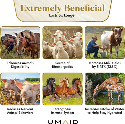 UMAID Himalayan Salt Lick 6 lbs. on Rope for Horses, Deer, Goats, Cow, Sheep, Cattle, Alpacas, and