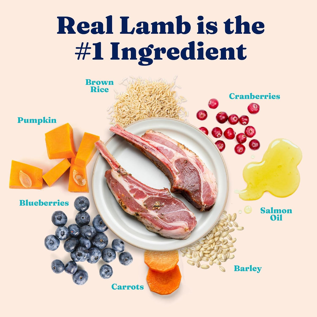 Solid Gold Dry Cat Food for Indoor Cats of All Ages - W/Lamb, Brown Rice, Barley, Probiotics &