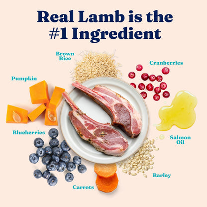 Solid Gold Dry Cat Food for Indoor Cats of All Ages - W/Lamb, Brown Rice, Barley, Probiotics &