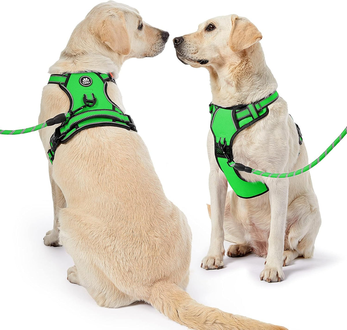 NESTROAD No Pull Dog Harness,Adjustable Oxford Dog Vest Harness with Leash,Reflective No-Choke Pet