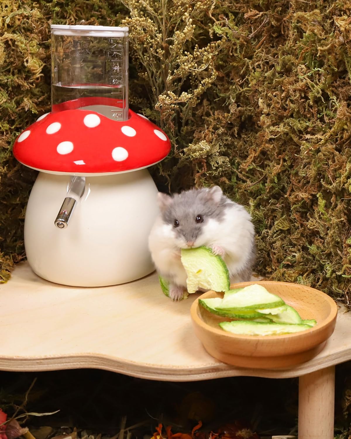 Niteangel Hamster Snack & Treats Toy - Small Animal Natural Treat for Dwarf Syrian Robo Hamsters