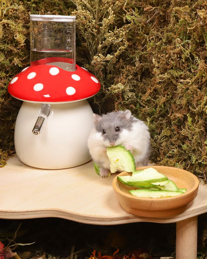 Niteangel Hamster Snack & Treats Toy - Small Animal Natural Treat for Dwarf Syrian Robo Hamsters