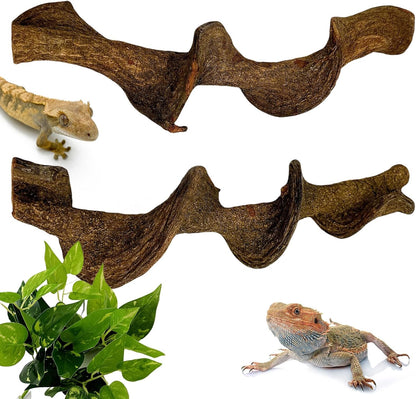 BNOSDM 2Pcs Reptile Climbing Branches Decor,Snake Climbing Branch,Gecko Climb Wood,Lizard Forest