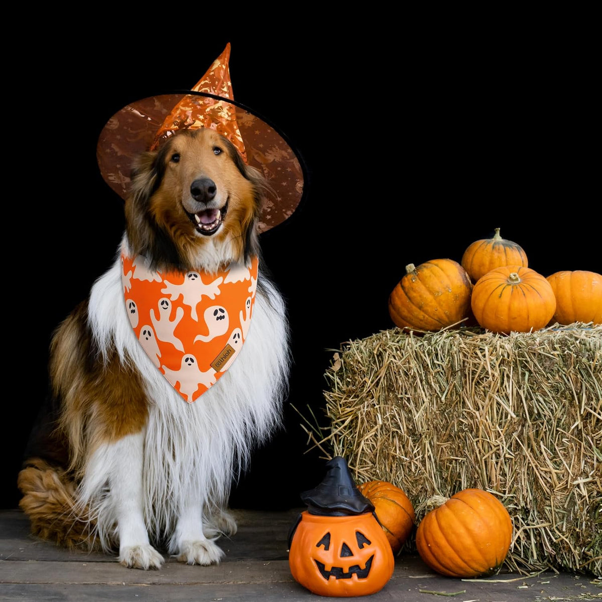Halloween Dog Bandanas - 2 Pack Fall Dog Bibs | Reversible Pumpkin and Ghost Pet Scarf for Boys and