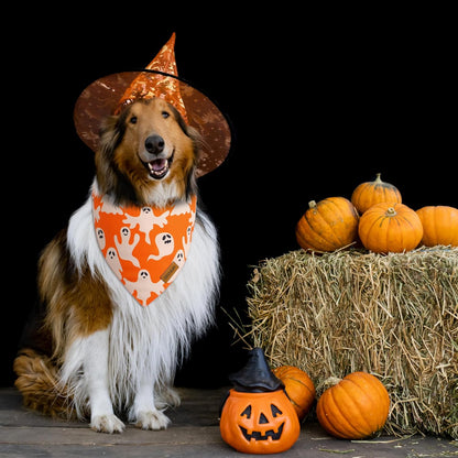 Halloween Dog Bandanas - 2 Pack Fall Dog Bibs | Reversible Pumpkin and Ghost Pet Scarf for Boys and