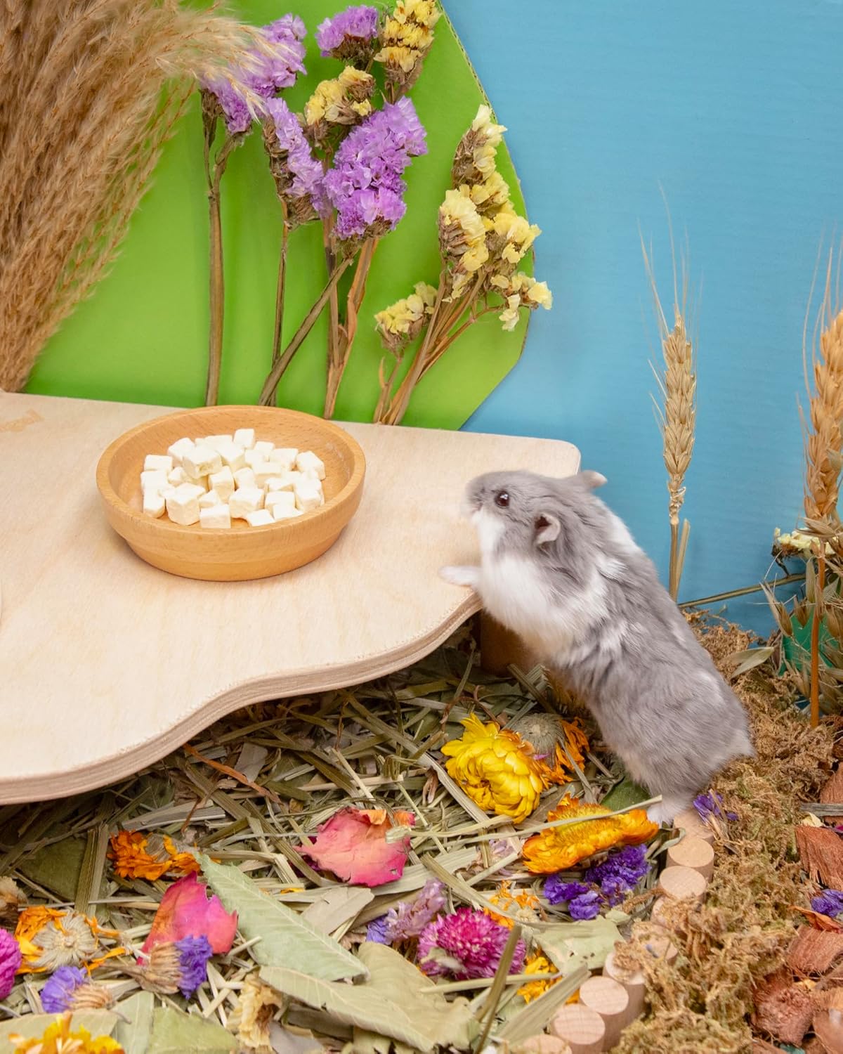 Niteangel Hamster Snack & Treats Toy - Small Animal Natural Treat for Dwarf Syrian Robo Hamsters