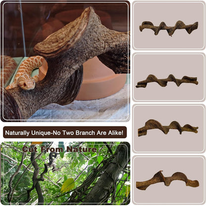 BNOSDM 3Pcs Reptile Climbing Branches Decor,Snake Climbing Branch,Gecko Climb Wood,Lizard Forest