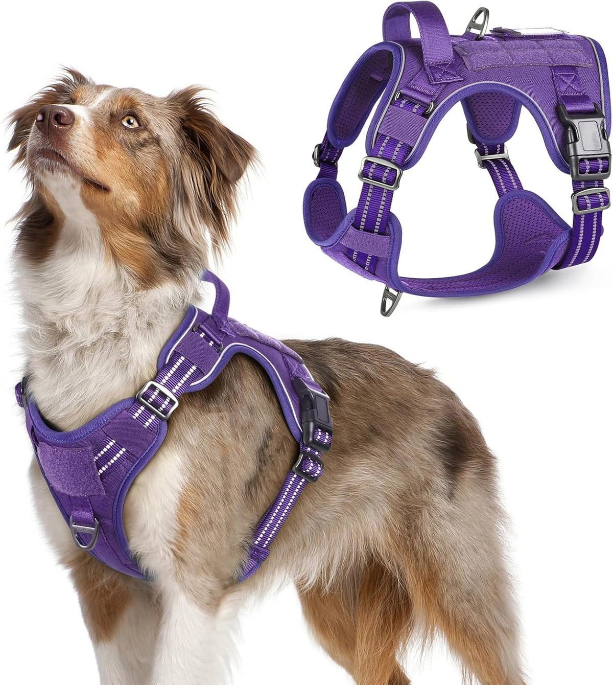rabbitgoo Tactical Dog Harness Medium Sized Dog, No Pull Military Service Vest with Handle & Molle