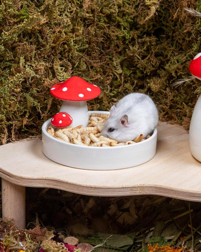 Niteangel Small Animal Snack & Treats - Small Critter Natural Treat for Dwarf Syrian Hamsters