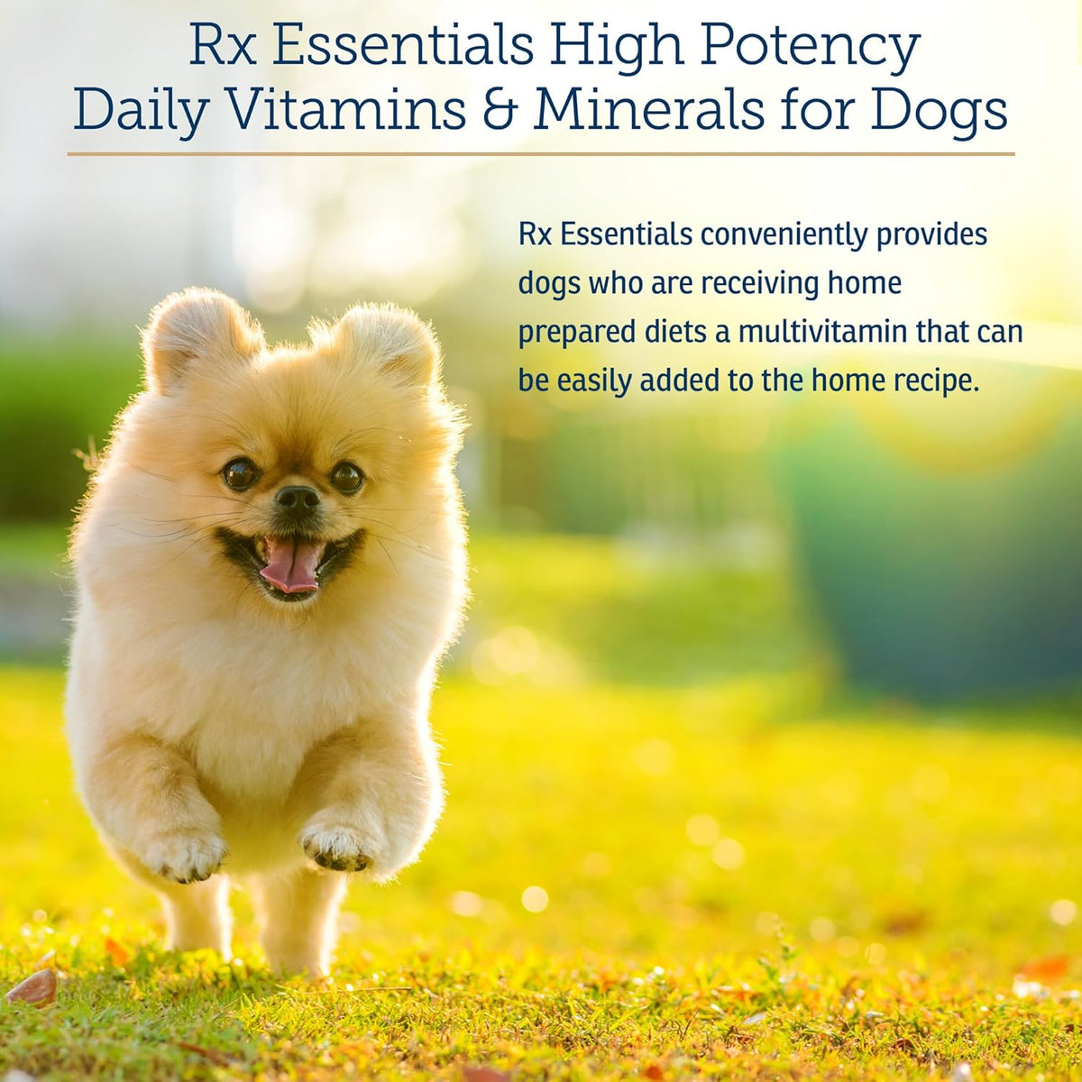 Rx Vitamins Essentials for Dogs - Daily Vitamins & Minerals - with Blue Spirulina, Kelp Powder, and