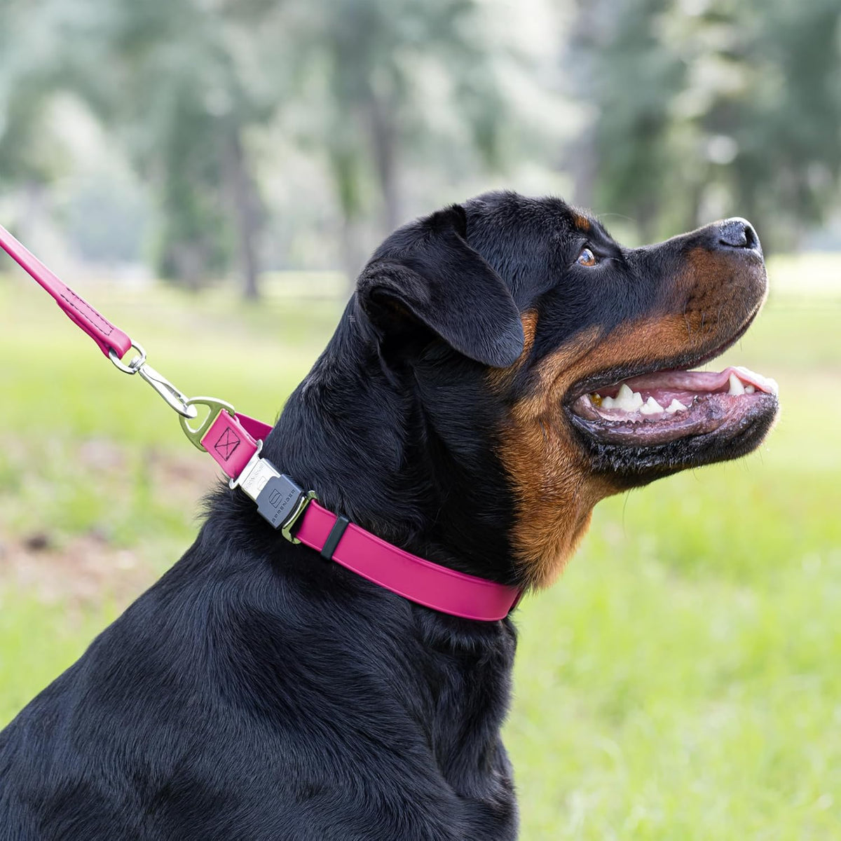 Dogline Biothane Waterproof Dog Collar with Herm Sprenger Black Stainless Steel Quick Release