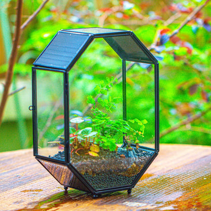NCYP Glass Enclosure Terrarium with Mesh and Door for Jumping Spiders, Snails, Insects - Octagon